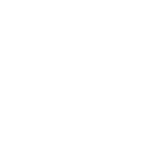 Vamoss logo
